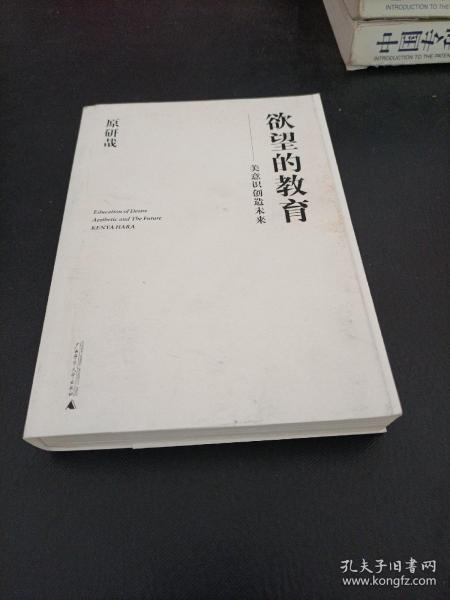 欲望的教育：美意识创造未来