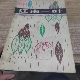 江南一叶