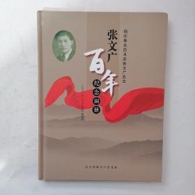 张文广百年纪念画册