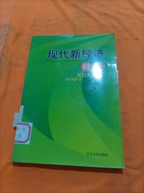 现代新经济概论