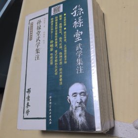 孙禄堂武学集注