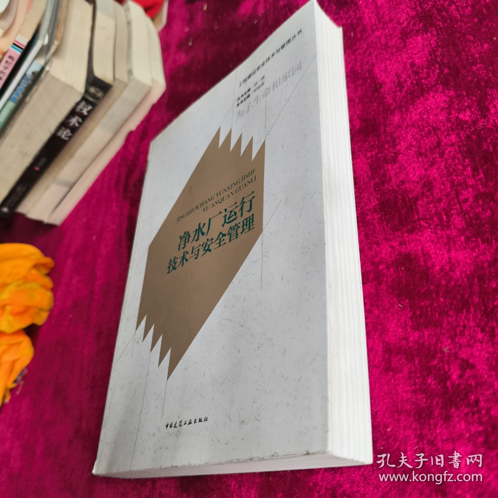 净水厂运行技术与安全管理