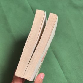 神雕侠侣前传。金庸著作。