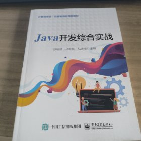 Java开发综合实战