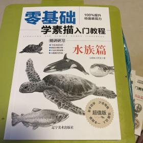 零基础学素描入门教程 水族篇