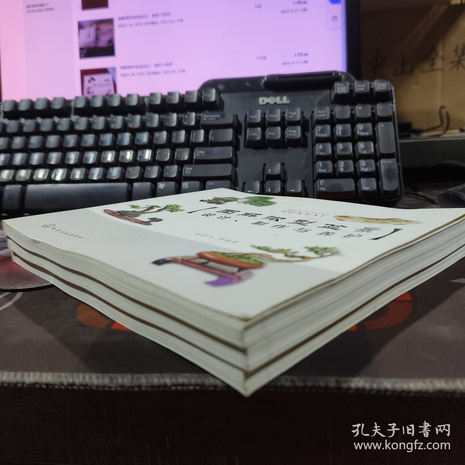 图解微型盆景设计、制作与养护（一版一印）