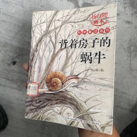 杨红樱画本科学童话系列