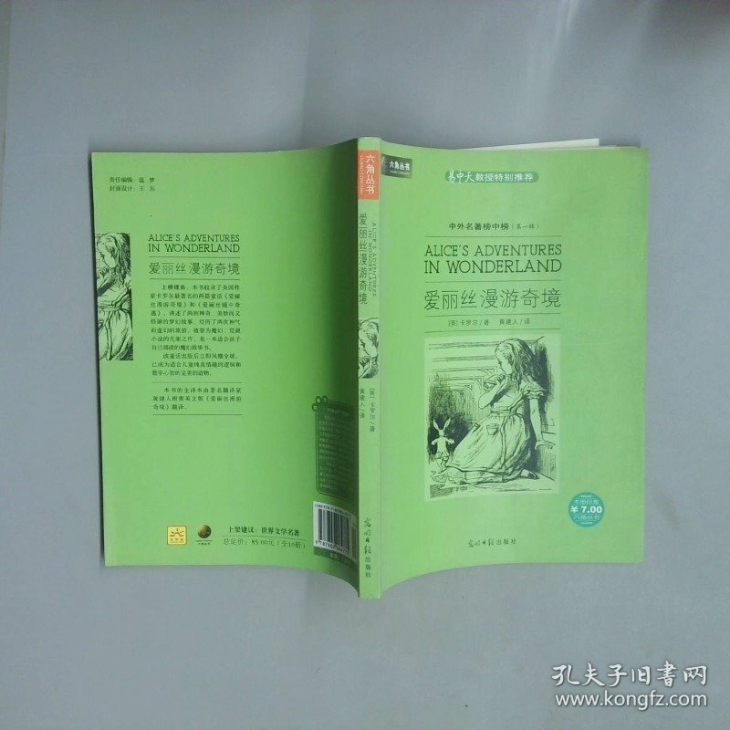 爱丽丝漫游奇景