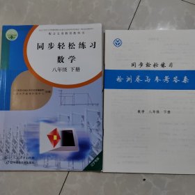 同步轻松练习八年级下册数学