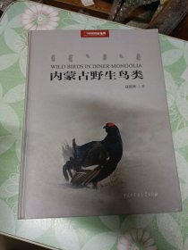 中国国家地理：内蒙古野生鸟类