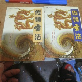 传销圣法 上下