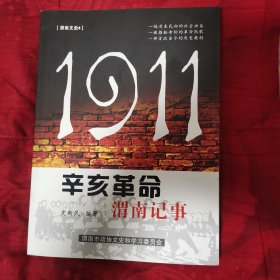 1911辛亥革命渭南记事（12柜较东）