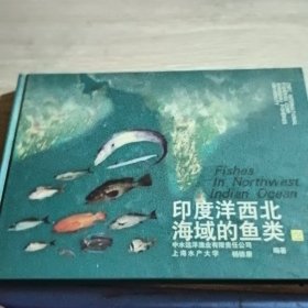 印度洋西北海域的鱼类