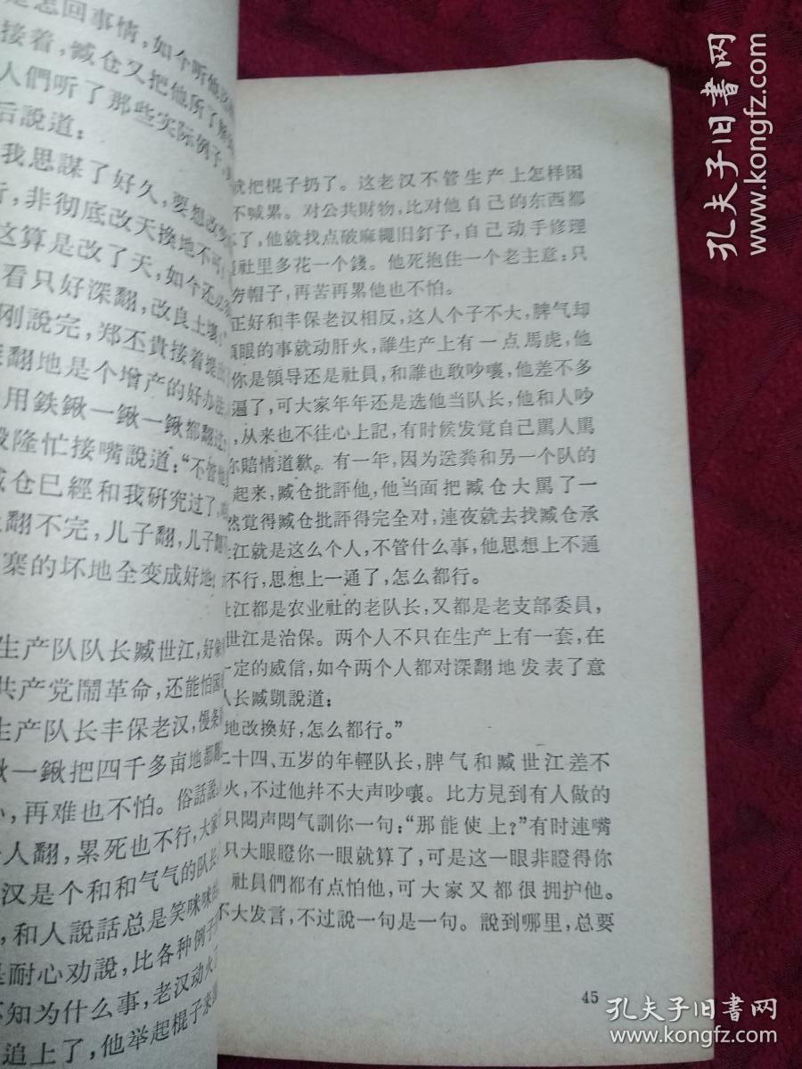 贫下中农风格赞