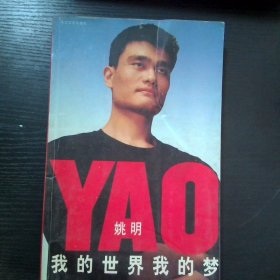 我的世界我的梦 ALifeinTwoWorldsWodeshijiewodemengChinese