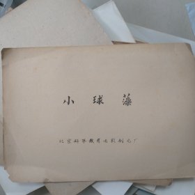 小球藻电影台本