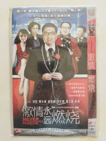 激情永远燃烧 2DVD 刘佳 周小斌 高亚麟 任正彬 主演电视剧（只发快递）