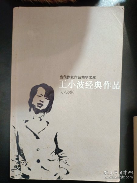 王小波经典作品：小说卷、杂文卷