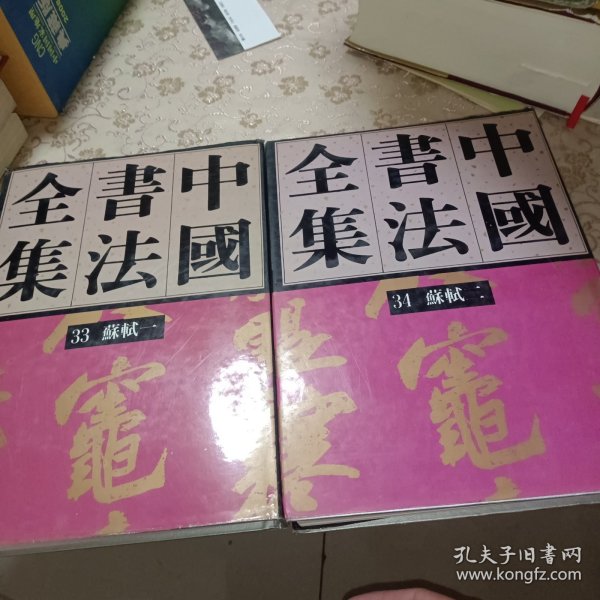 中国书法全集第33卷 苏轼（一）