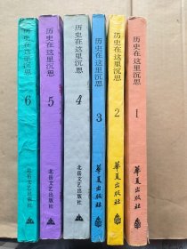 历史在这里沉思1966——1976年记实（全六卷）