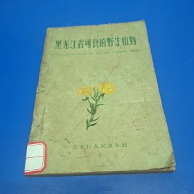 黑龙江省可食的野生植物