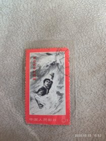 文19金训华