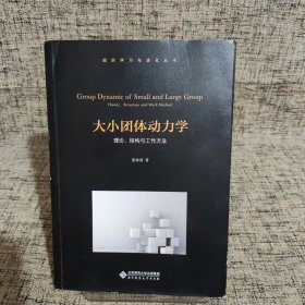 大小团体动力学:理论、结构与工作方法