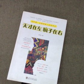 天才在左 疯子在右：国内第一本精神病人访谈手记