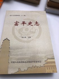 富平文史资料第二十三辑：富平史志