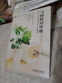 与绿植同呼吸：超人气观叶植物新手养护不败指南