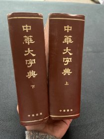 中华大字典（上下）