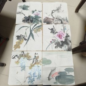 （无款）精品花鸟 册页软片（六帧）34*35cm—— 包邮！