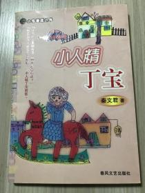 小人精丁宝（小布老虎丛书）