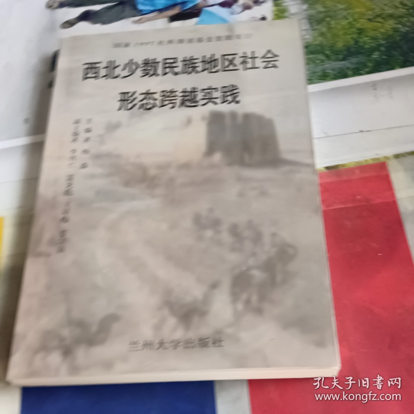 西北少数民族地区社会形态跨越实践