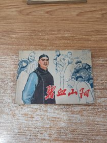 碧血山阳