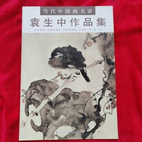 当代中国画名家——袁生中作品集