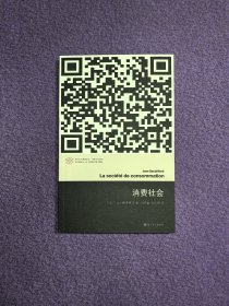 消费社会（当代学术棱镜译丛·消费文化系列）