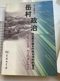 岳村政治：转型期中国乡村政治结构的变迁