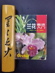 兰花栽培入门