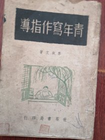 青年写作指导