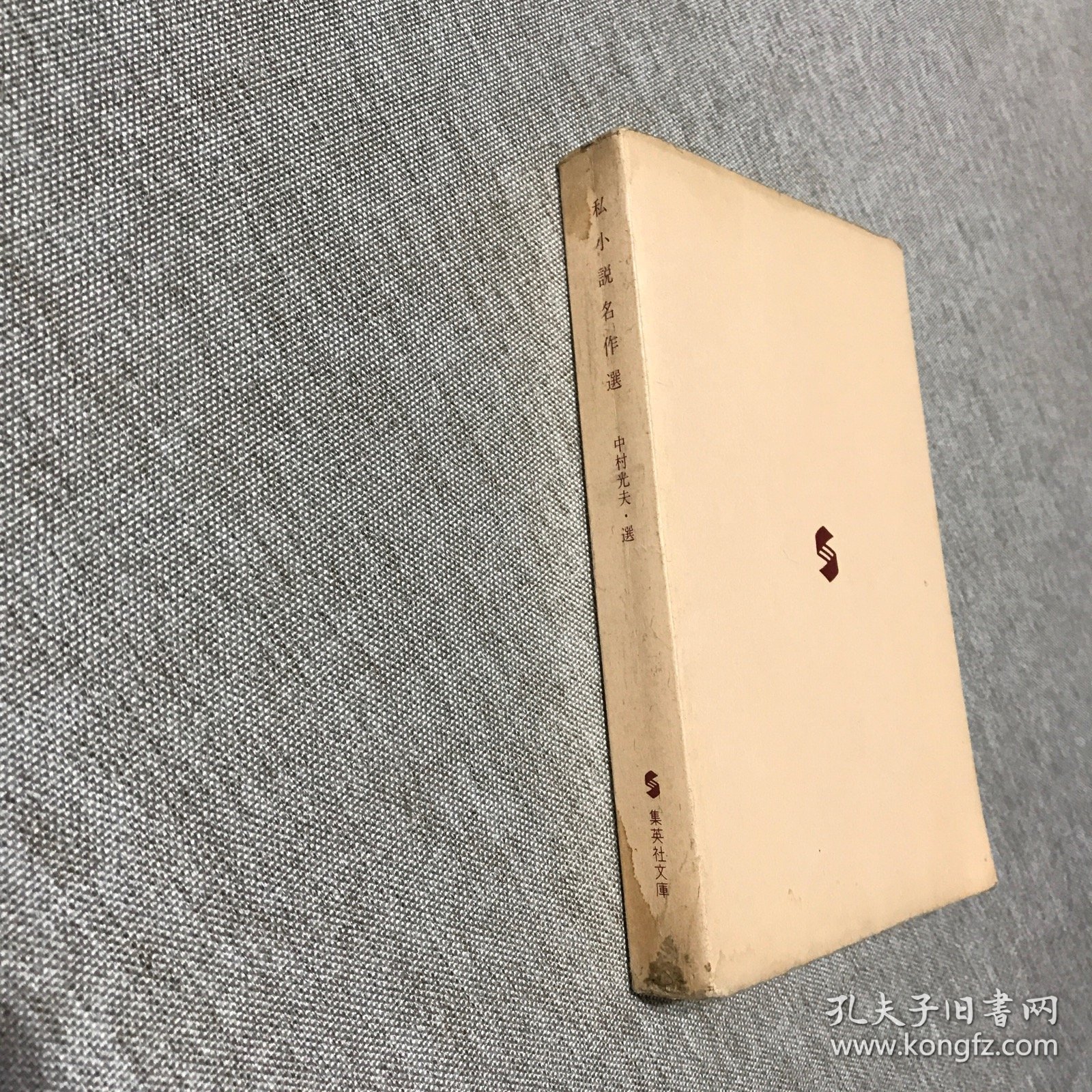 集英社文库 私小说名作选