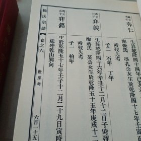 杨氏宗谱：上下卷（重裕堂）（河南商城）