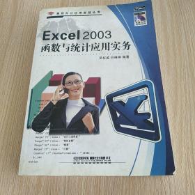 Excel 2003函数与统计应用实务——高效办公应用实战丛书