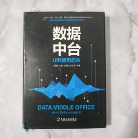 数据中台：让数据用起来 有划线