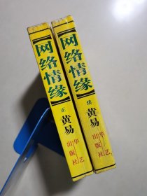 网络情缘 正、续（全二册）