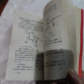 中国武功绝招丛书：传统杨氏大架太极拳 械 推手 李雅轩太极推手精粹