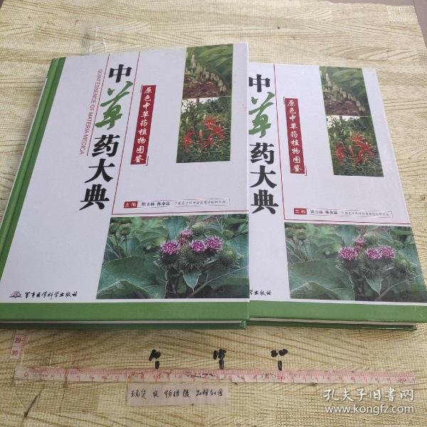 中草药大典-原色中草药植物图鉴(上下册)