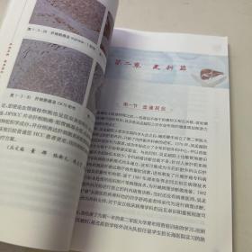 医林觅微 镜显菁华：海军军医大学东方肝胆外科医院组建病理专业40年随笔