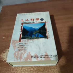 走进西藏 (含4碟 )