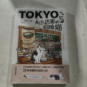 小店里的招牌猫5